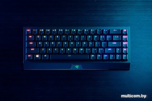 Клавиатура Razer Blackwidow V3 Mini HyperSpeed Green Switch