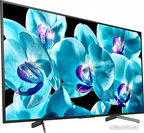 Телевизор Sony KD-65XG8096