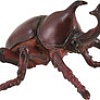 Collecta Жук-Носорог 88337b