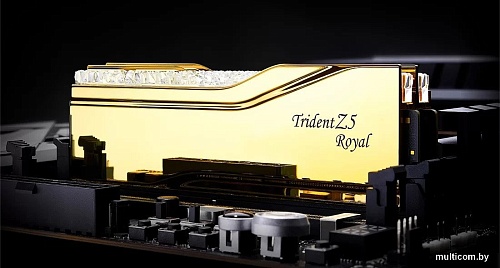 Оперативная память G.Skill Trident Z5 Royal Neo 2x32ГБ DDR5 6000 МГц F5-6000J2836G32GX2-TR5G